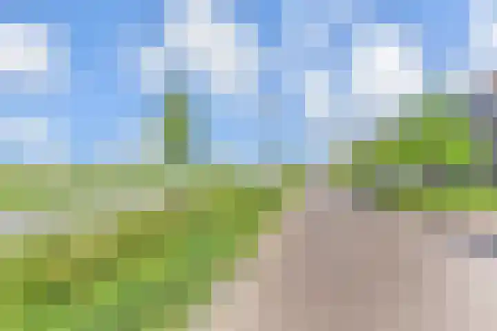 Zonnebaars 53 Waddinxveen thumbnail 42