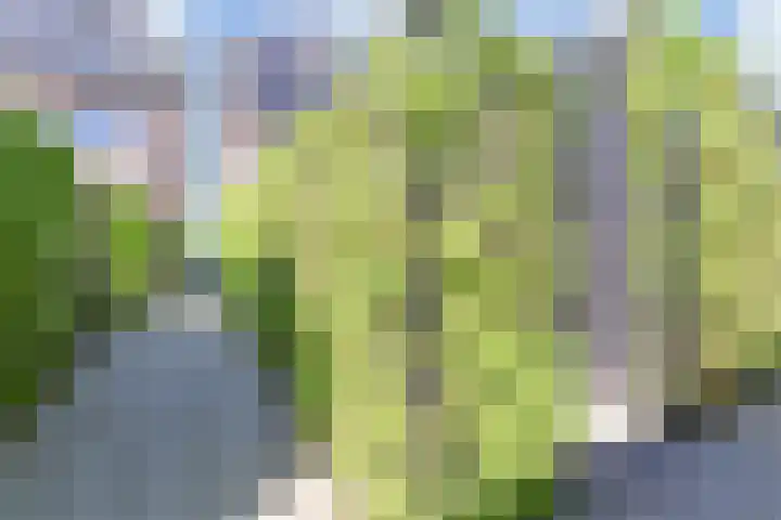 Zonnebaars 53 Waddinxveen thumbnail 43