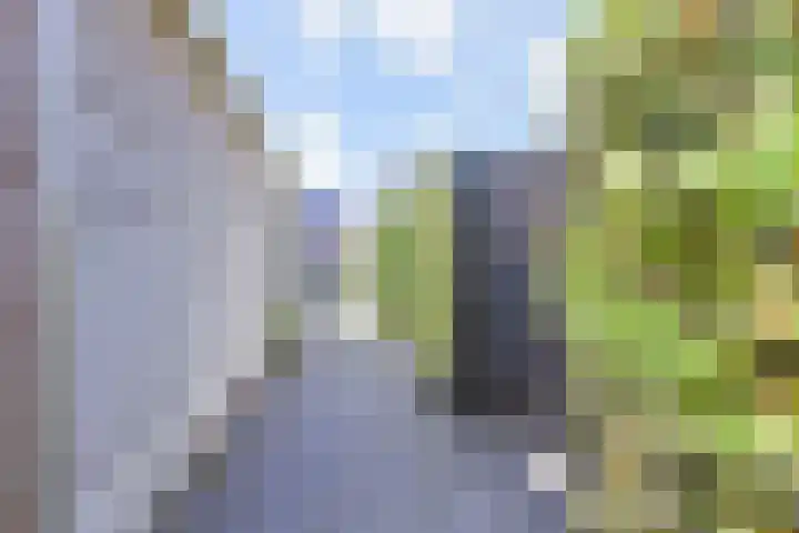 Zonnebaars 53 Waddinxveen thumbnail 44