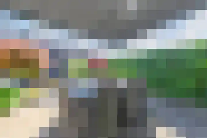Zonnebaars 53 Waddinxveen thumbnail 47