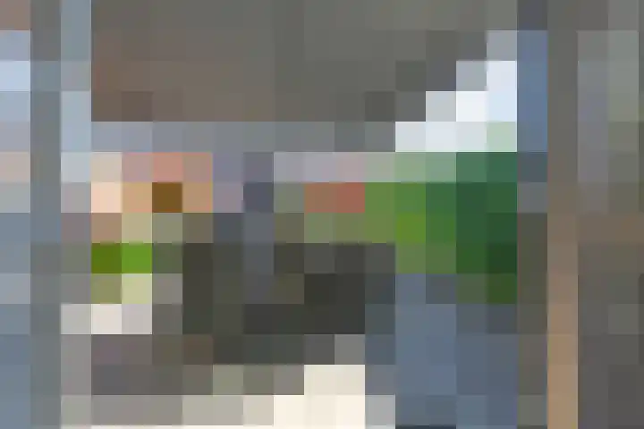 Zonnebaars 53 Waddinxveen thumbnail 48