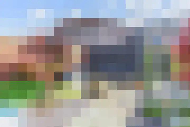 Zonnebaars 53 Waddinxveen thumbnail 49