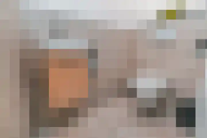 Zonnebaars 53 Waddinxveen thumbnail 5