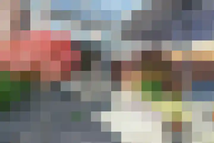 Zonnebaars 53 Waddinxveen thumbnail 50