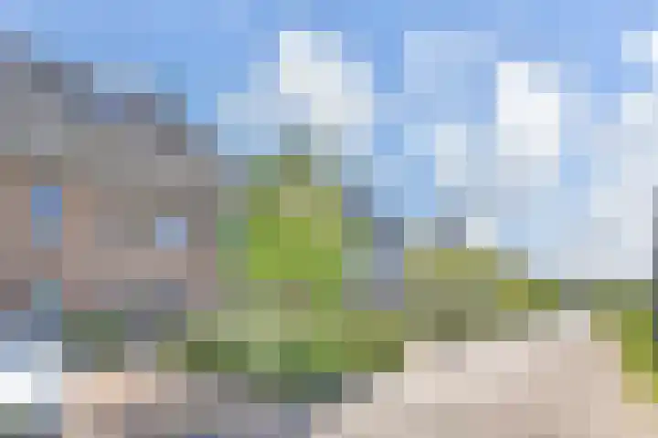 Zonnebaars 53 Waddinxveen thumbnail 51