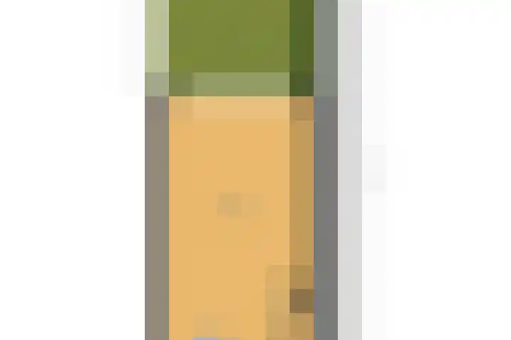 Zonnebaars 53 Waddinxveen thumbnail 52