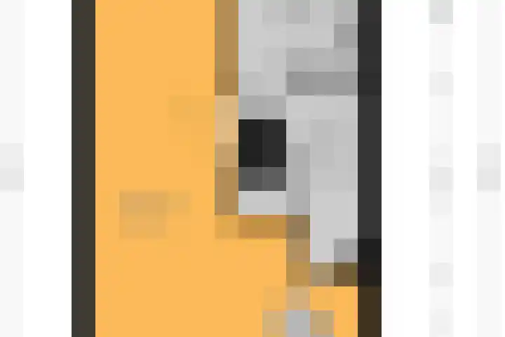 Zonnebaars 53 Waddinxveen thumbnail 55