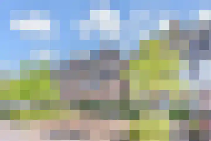 Zonnebaars 53 Waddinxveen thumbnail 58