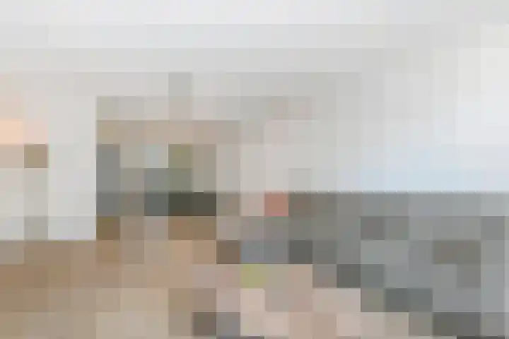 Zonnebaars 53 Waddinxveen thumbnail 6