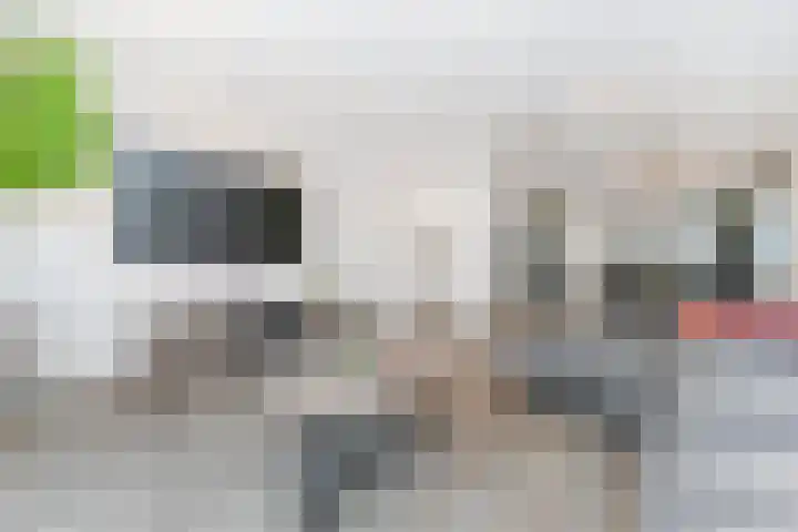 Zonnebaars 53 Waddinxveen thumbnail 8