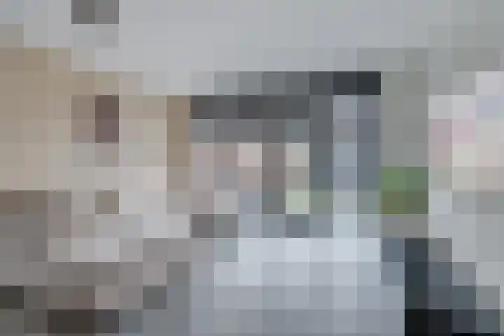 Zonnebaars 55 Waddinxveen thumbnail 10