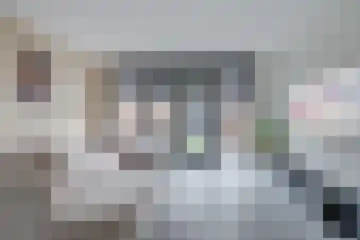 Zonnebaars 55 Waddinxveen thumbnail 11
