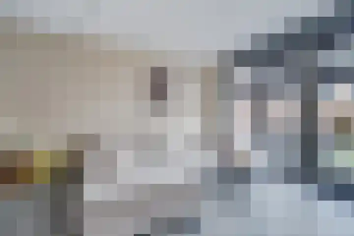 Zonnebaars 55 Waddinxveen thumbnail 12