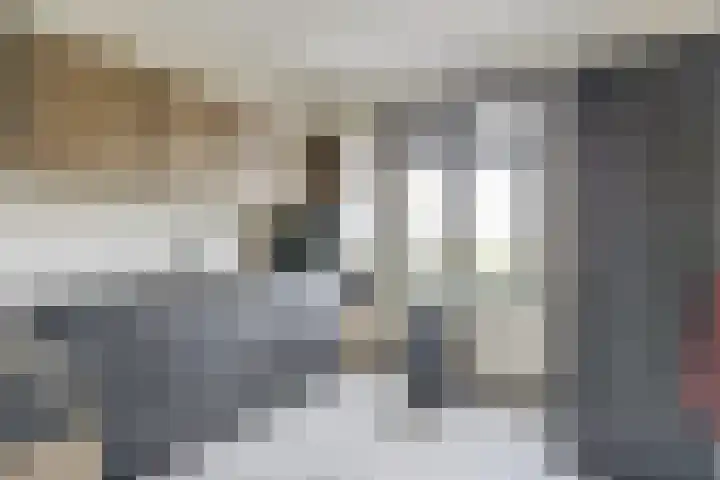 Zonnebaars 55 Waddinxveen thumbnail 18