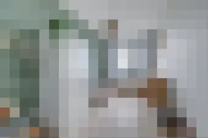 Zonnebaars 55 Waddinxveen thumbnail 26