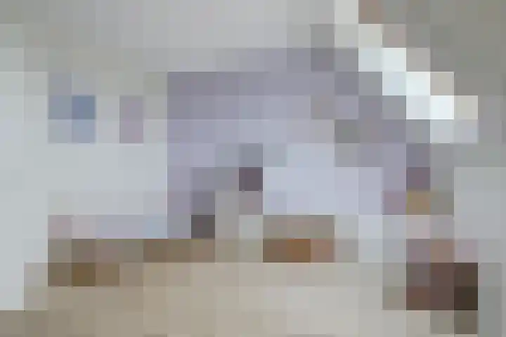 Zonnebaars 55 Waddinxveen thumbnail 32