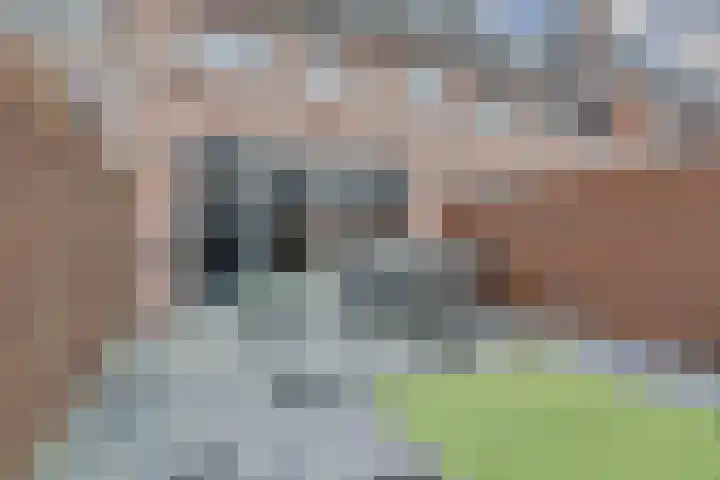 Zonnebaars 55 Waddinxveen thumbnail 40