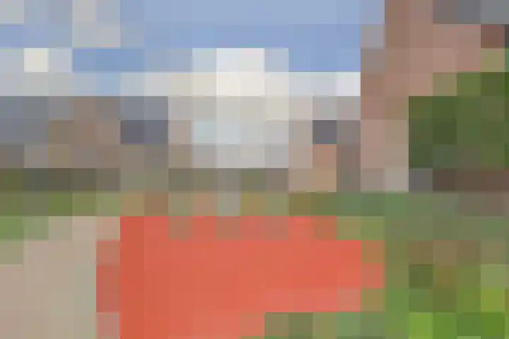 Zonnebaars 55 Waddinxveen thumbnail 42