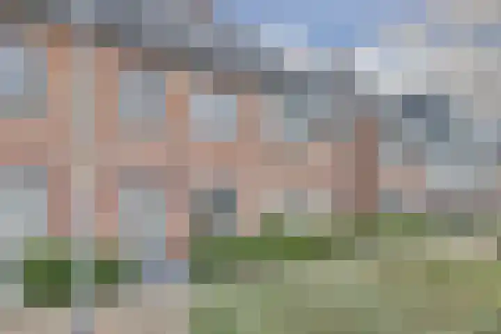 Zonnebaars 55 Waddinxveen thumbnail 6