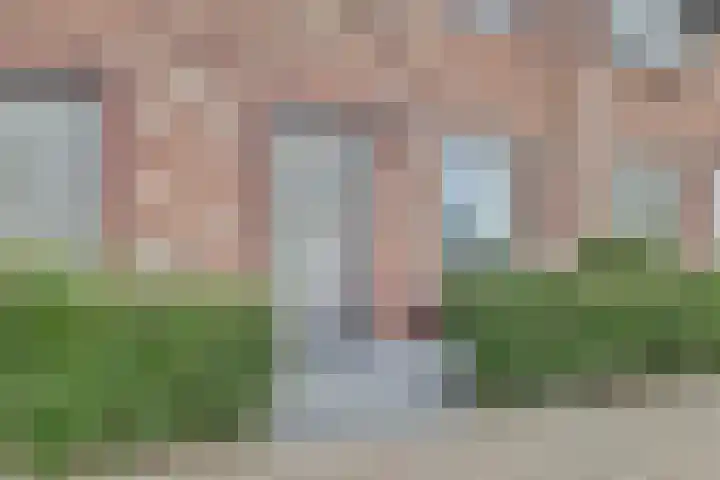 Zonnebaars 55 Waddinxveen thumbnail 7