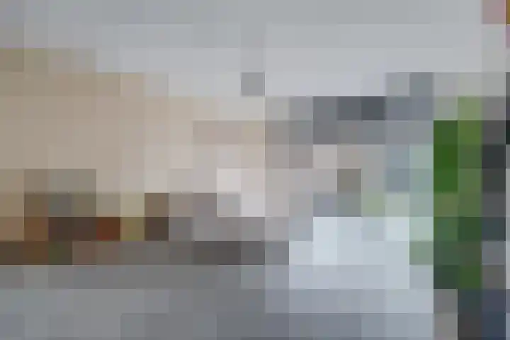 Zonnebaars 55 Waddinxveen thumbnail 8