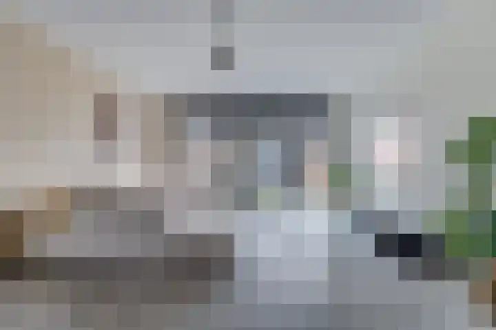 Zonnebaars 55 Waddinxveen thumbnail 9