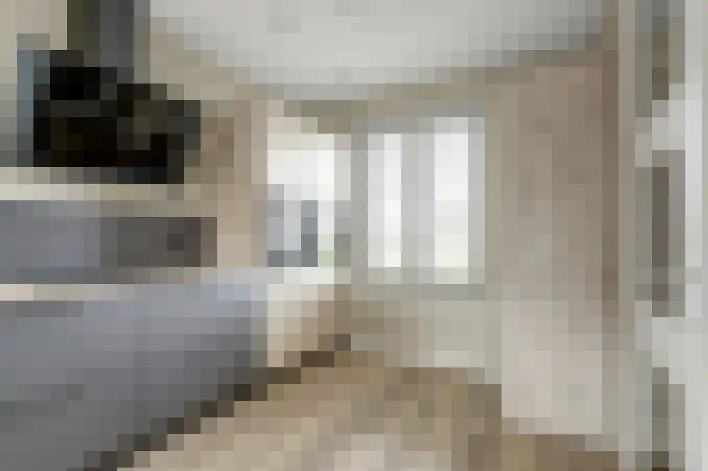Zonnebaars 75 Waddinxveen thumbnail 20