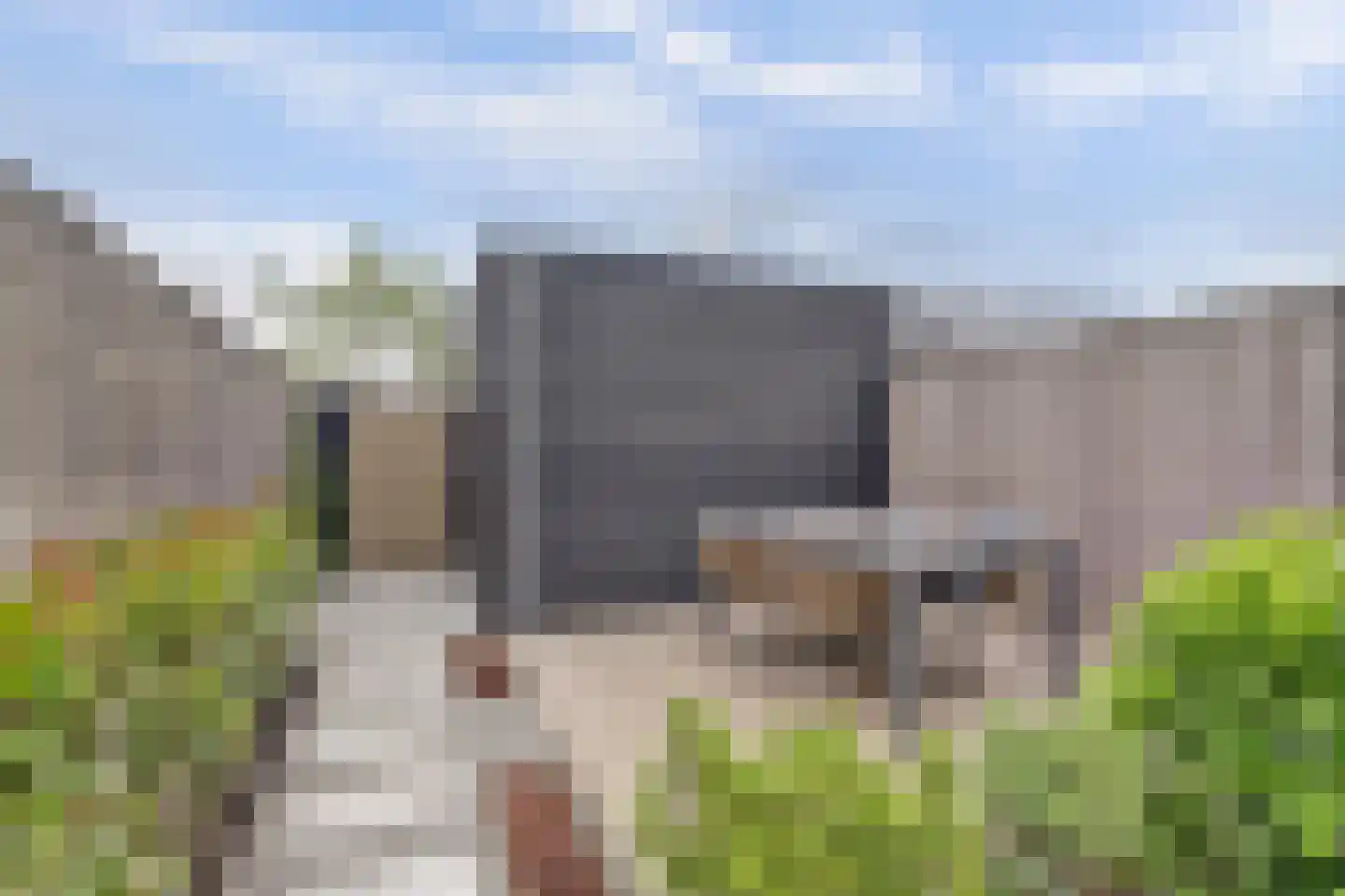 Zonnebaars 75 Waddinxveen thumbnail 40