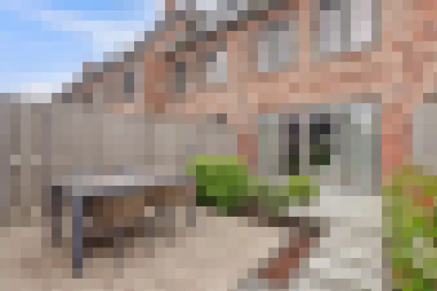 Zonnebaars 75 Waddinxveen thumbnail 42
