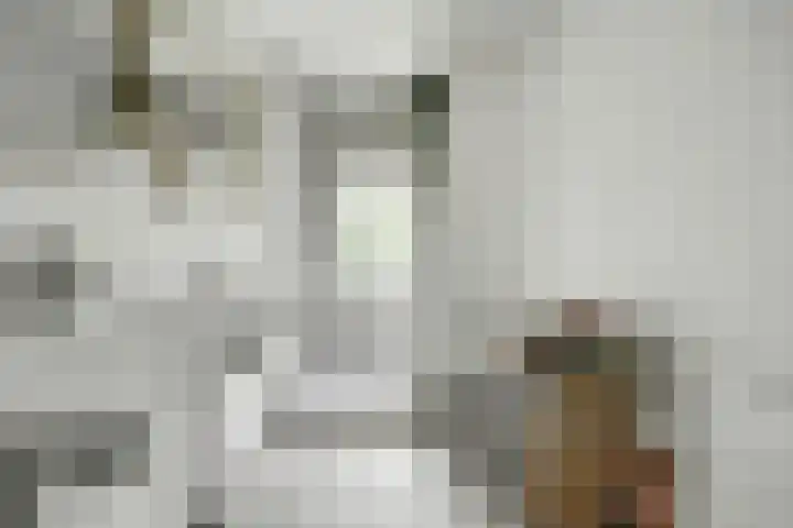 Zonnebaarsstraat 19 Hoogvliet Rotterdam thumbnail 16
