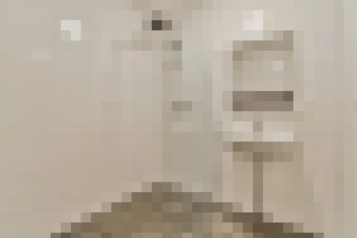 Zonnebaarsstraat 38 Hoogvliet Rotterdam thumbnail 5
