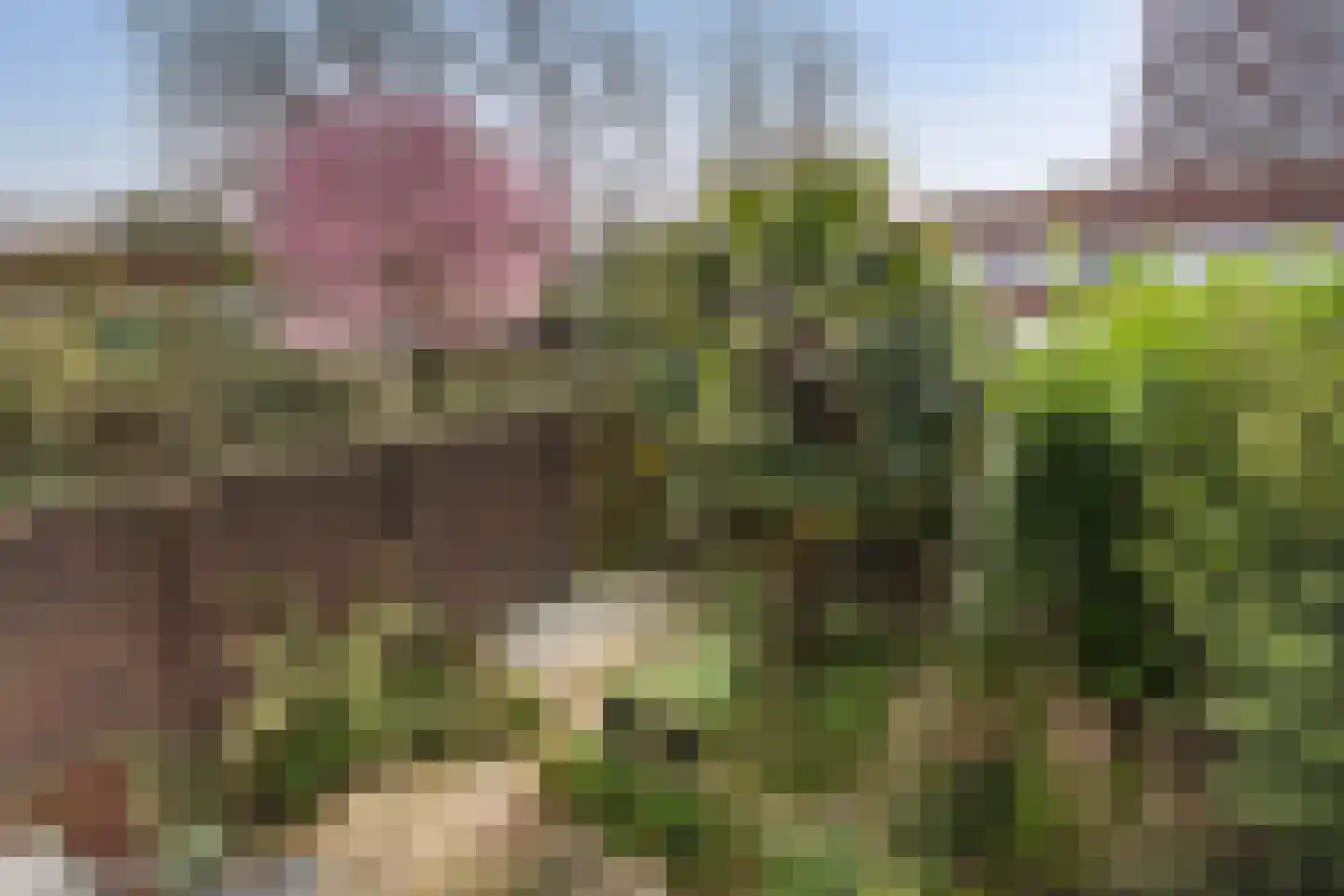 Zonnebaarsstraat 6 Hoogvliet Rotterdam thumbnail 22