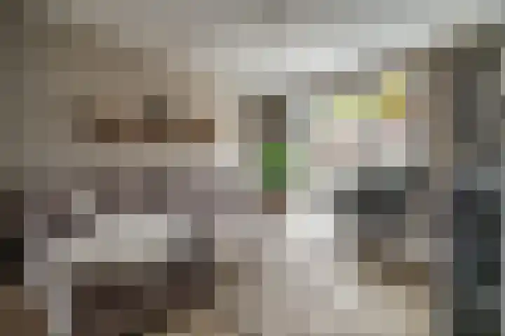 Zonnebeekweide 1 Woubrugge thumbnail 10
