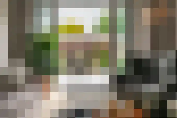 Zonnebeekweide 1 Woubrugge thumbnail 11