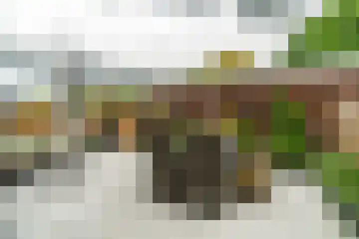 Zonnebeekweide 1 Woubrugge thumbnail 12