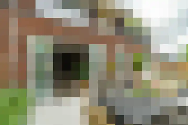 Zonnebeekweide 1 Woubrugge thumbnail 13