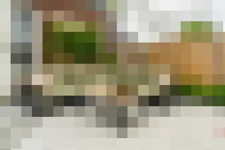 Zonnebeekweide 1 Woubrugge thumbnail 14