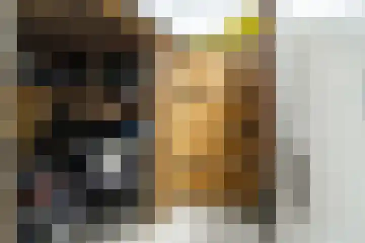 Zonnebeekweide 1 Woubrugge thumbnail 16