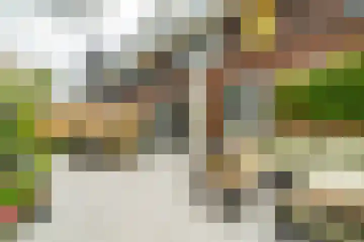 Zonnebeekweide 1 Woubrugge thumbnail 17