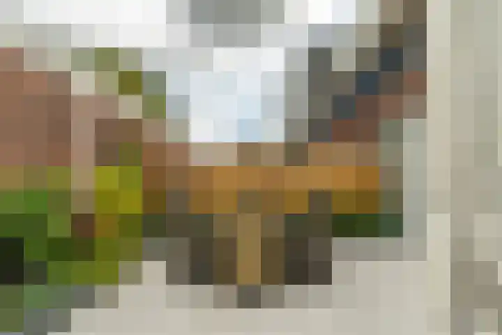 Zonnebeekweide 1 Woubrugge thumbnail 18