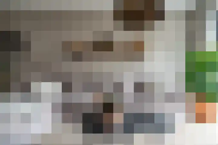 Zonnebeekweide 1 Woubrugge thumbnail 20