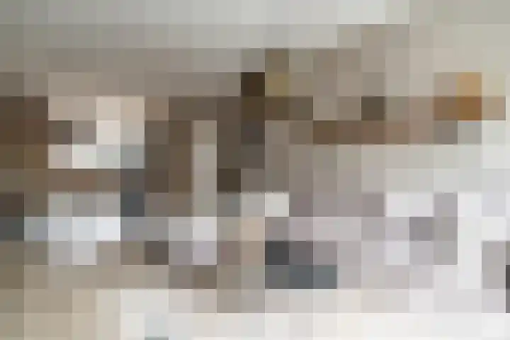 Zonnebeekweide 1 Woubrugge thumbnail 22