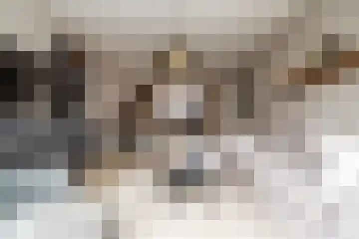 Zonnebeekweide 1 Woubrugge thumbnail 23