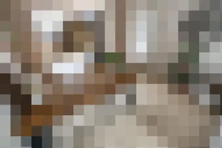 Zonnebeekweide 1 Woubrugge thumbnail 24