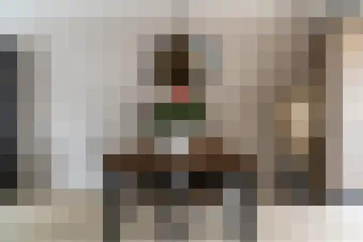Zonnebeekweide 1 Woubrugge thumbnail 25