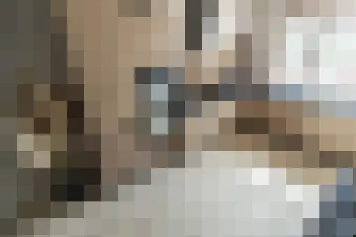 Zonnebeekweide 1 Woubrugge thumbnail 28