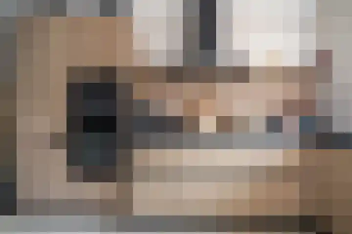 Zonnebeekweide 1 Woubrugge thumbnail 30