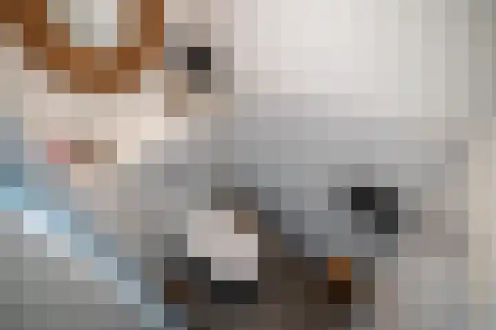 Zonnebeekweide 1 Woubrugge thumbnail 36