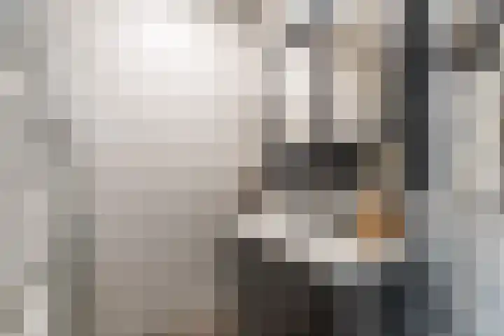 Zonnebeekweide 1 Woubrugge thumbnail 37