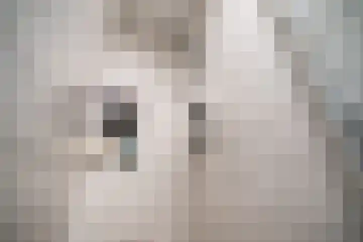 Zonnebeekweide 1 Woubrugge thumbnail 38